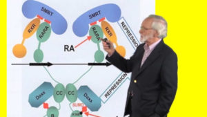 Part 3: The Cancer Genome and Therapeutics