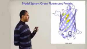 Part 2: Designing Protein Libraries and an Example of Making a Better Fluorescent Protein