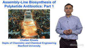 An Introduction to Polyketide Assembly Lines