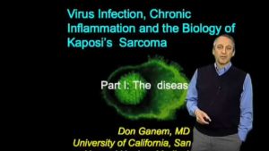 Part 1: Kaposi’s Sarcoma: The Disease