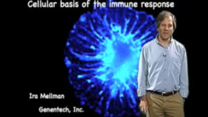 Cellular Basis of the Immune Response