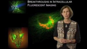 Part 1: Intracellular Fluorescent Imaging: An Introduction