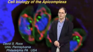 Part 1: Biology of Apicomplexan Parasites