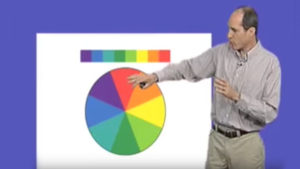 Part 4: The Evolution of Trichromatic Color Vision