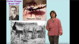 Part 1: Trypanosoma cruzi and Chagas’ Disease