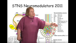 Part 2: Neuromodulation