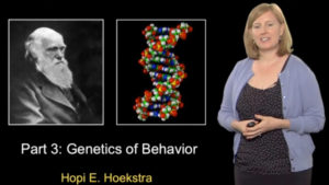 Genetics of Morphology