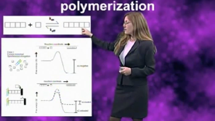 Actin Polymerization: Julie Theriot