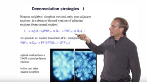 Deconvolution Microscopy (David Agard)