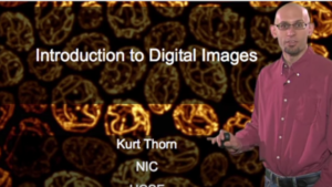 Kurt Thorn on iBiology: Digital Imaging