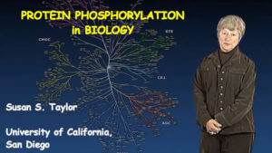 Protein Phosphorylation in Biology