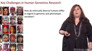 African Genomics: Human Evolution