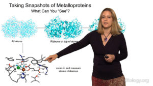 Part 1: Introduction to Metalloproteins