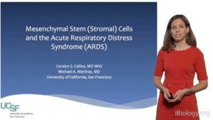 Part 1: Acute Respiratory Distress Syndrome: An Overview