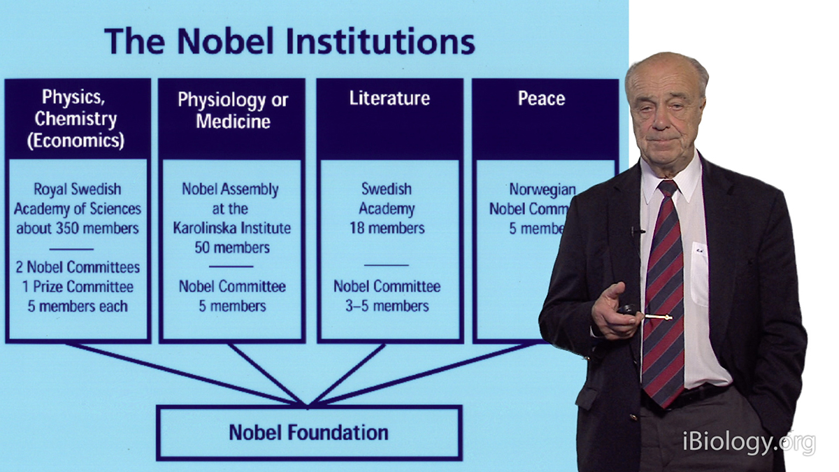 Erling Norrby: DNA and the Nobel Prize