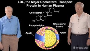 Part 1: The Molecular Basis of Familial Hypercholesterolemia
