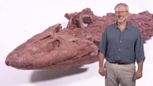 Finding Tiktaalik, the Fossil Link Between Fish and Land Animals