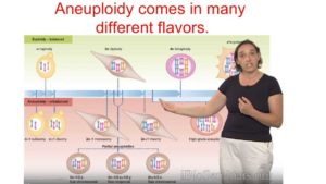 Part 1: Review of the Study of Aneuploidy