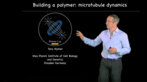 Part 2: Building a Polymer: Microtubule Dynamics