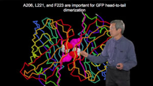 Roger Tsien: Fluorescent Proteins