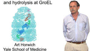 Part 3: The Role of ATP Binding and Hydrolysis at GroEL