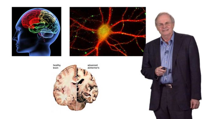 Neurodegenerative disease: Gregory Petsko