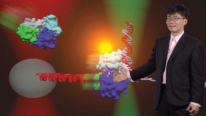 Part 3: Investigating DNA Helicases Using Single Molecule Technologies