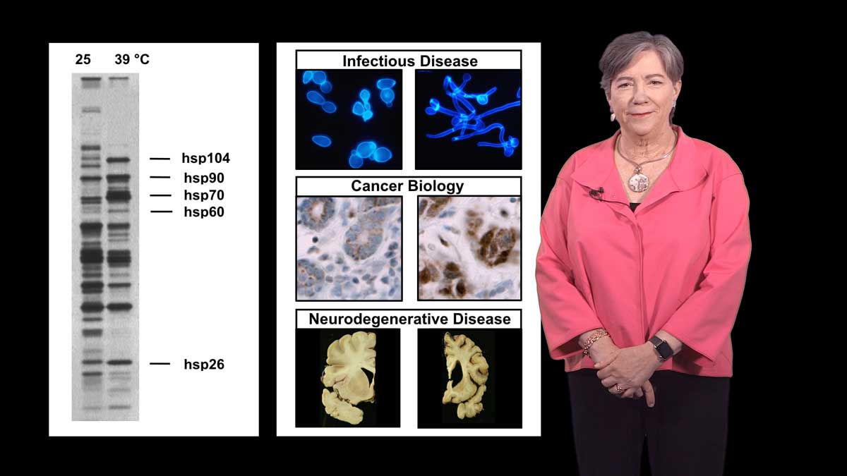 Protein Folding in Infectious Disease and Cancer (Part 1a): Susan Lindquist