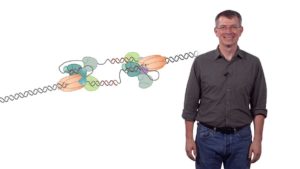 Part 1: Mechanisms of Chromosomal DNA Replication: The DNA Replication Fork