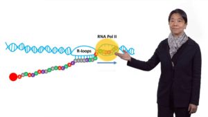 Part 3: Mechanisms that Underlie RNA Editing and RNA-DNA Differences