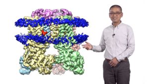 Part 2: Single Particle Cyro-EM of Membrane Proteins