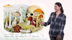 Part 2: Reverse Ecology: A Tool to Understand the Natural Histories of Cryptic Organisms, Including Amanita Phalloides