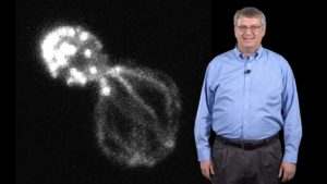 Part 4: Actin Assembly in Budding Yeast