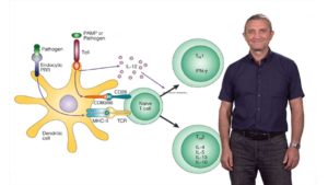 The Role of Toll-Like Receptors in the Control of Adaptive Immunity