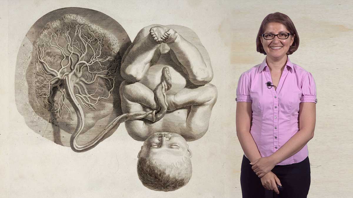 What is the Placenta?: Mana Parast