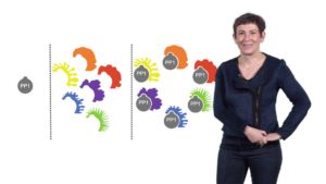 A Historical Perspective on Protein Phosphatases: Anne Bertolotti