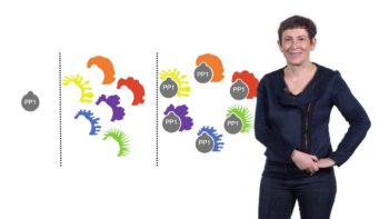 A Historical Perspective on Protein Phosphatases: Anne Bertolotti