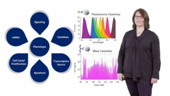 Mass Cytometry: Susanne Heck