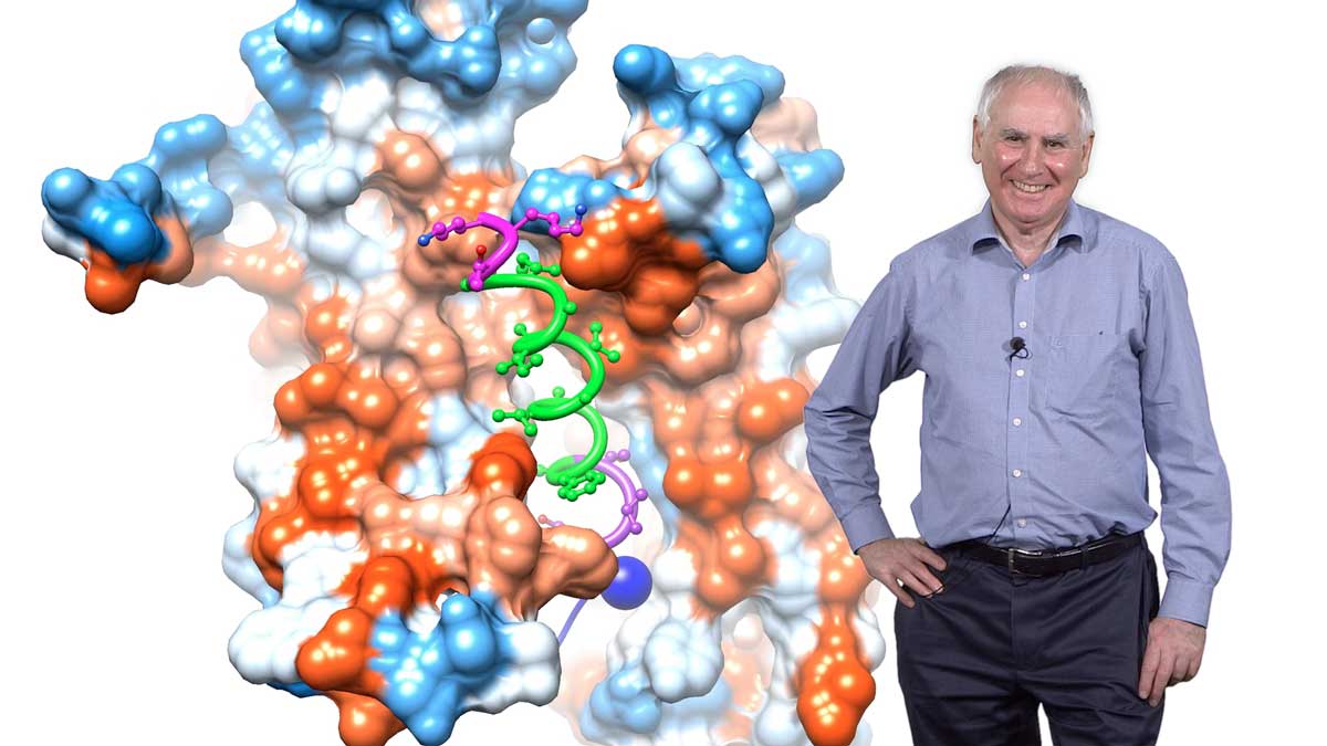 Organelle Biosynthesis and Protein Sorting: Tom Rapoport