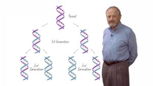 The Semi-Conservative Replication of DNA