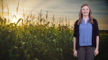 How Corn Fights Crop Stress: Katie Murphy