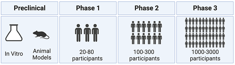 Phases of clinical trials. 