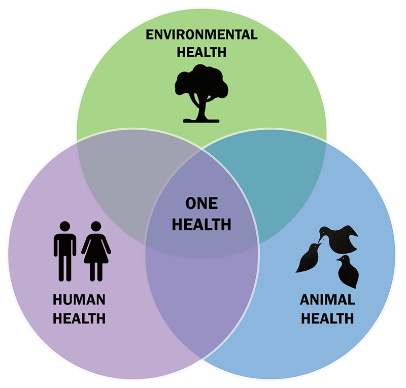 One Health Triad. Credit: Wikimedia Commons/Thddbfk”