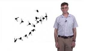 How Flies Fly: Lift: Michael Dickinson