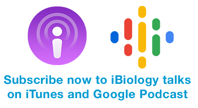 iBiology Videos Pocast