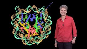 Discovery of the Structure of the Nucleosome: Karolin Luger