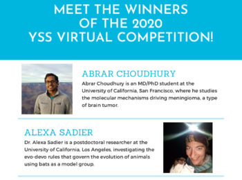 The Young Scientist Seminars program is going virtual!