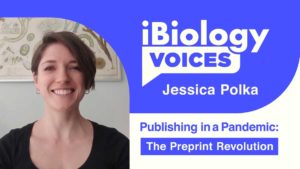 Part 1: Publishing in a Pandemic: The Preprint Revolution