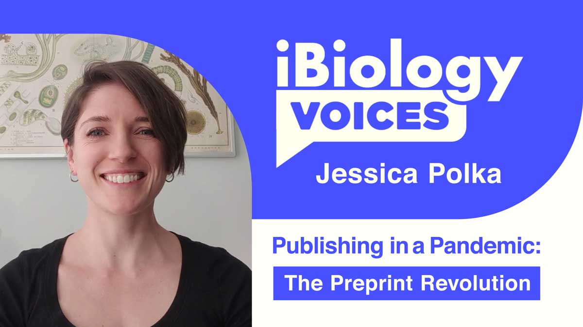 Preprints: Jessica Polka