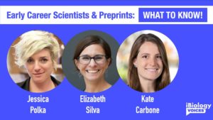 Part 2: Early Career Scientists and Preprints Q&A